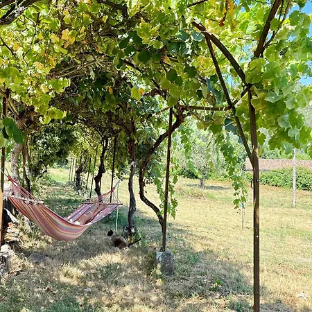 House Of Vines לינה וארוחת בוקר *