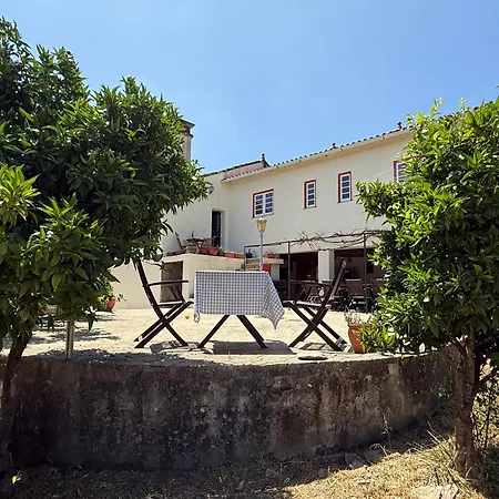 House Of Vines * Carapinhal