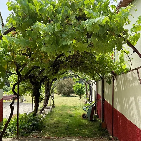 House Of Vines * Carapinhal