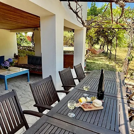 House Of Vines *