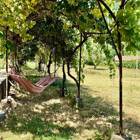 House Of Vines לינה וארוחת בוקר Carapinhal