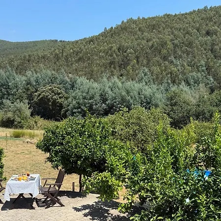 House Of Vines * Carapinhal